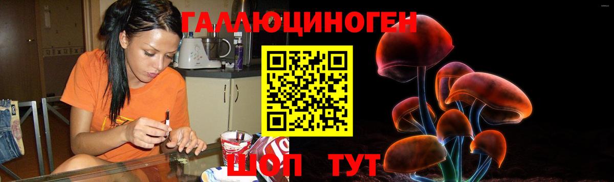 Псилоцибиновые грибы Psilocybine cubensis Пыть-Ях